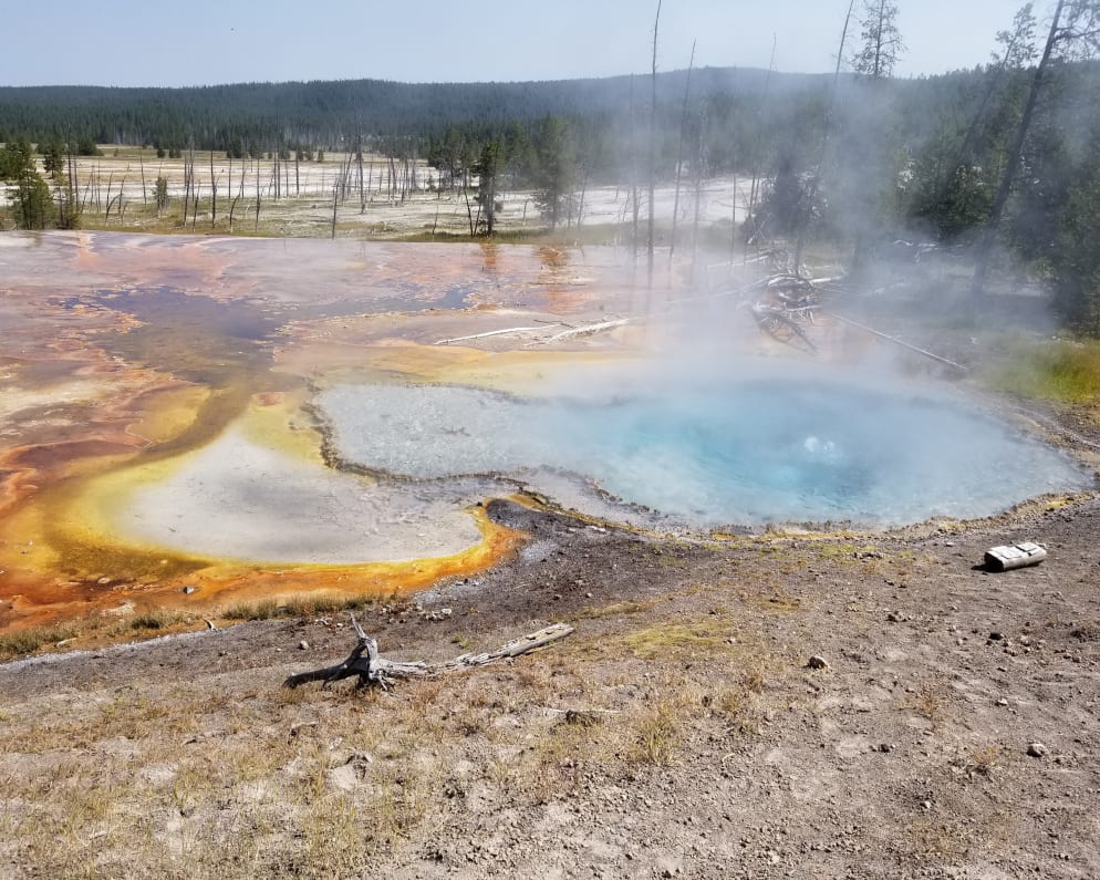 2020 Ford Transit Class B for rent in Jackson Wyoming