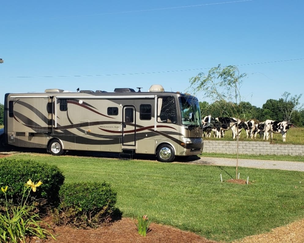 Even a Chic-fil-A cow approved Coach!