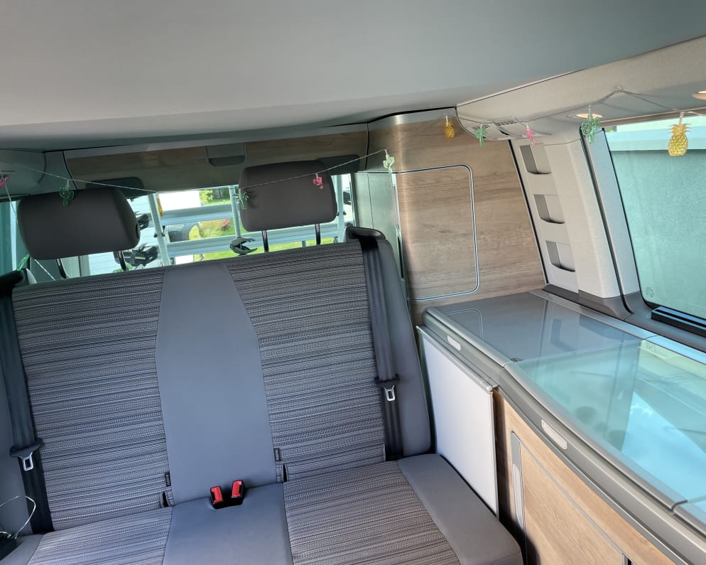 2020 Volkswagen California available for rent in Longvic 