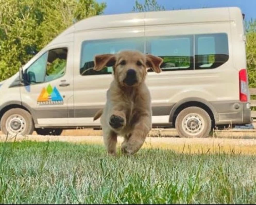 2021 Ford Transit