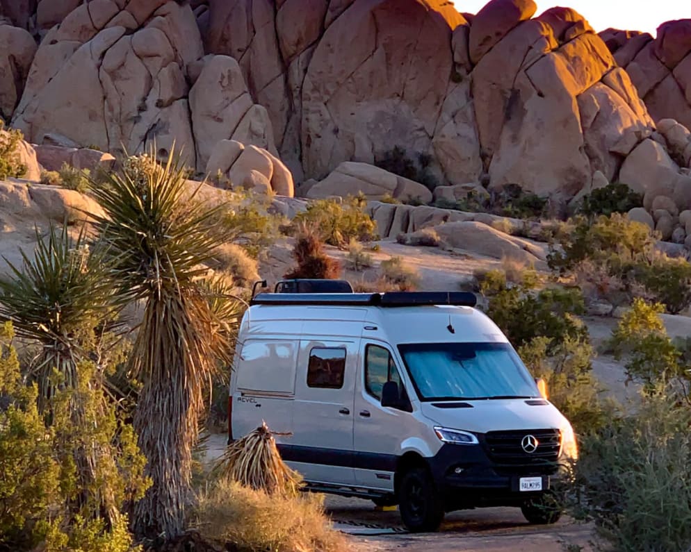 Jumbo Rocks Campground