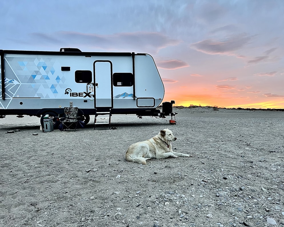 2022 Forest River IBEX 20BHS available for rent in Rio Rancho New Mexico