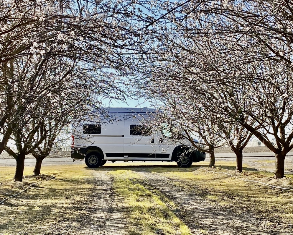 2022 Winnebago Solis