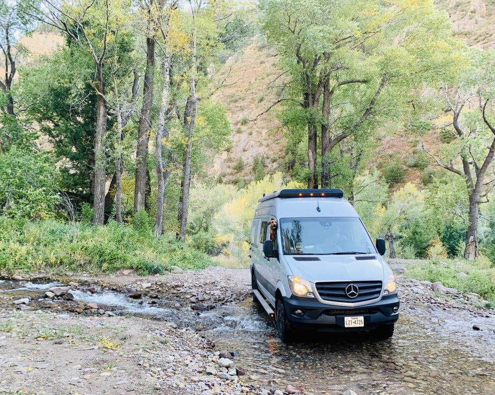 Say hello to Yoshi on a trip to Colorado.