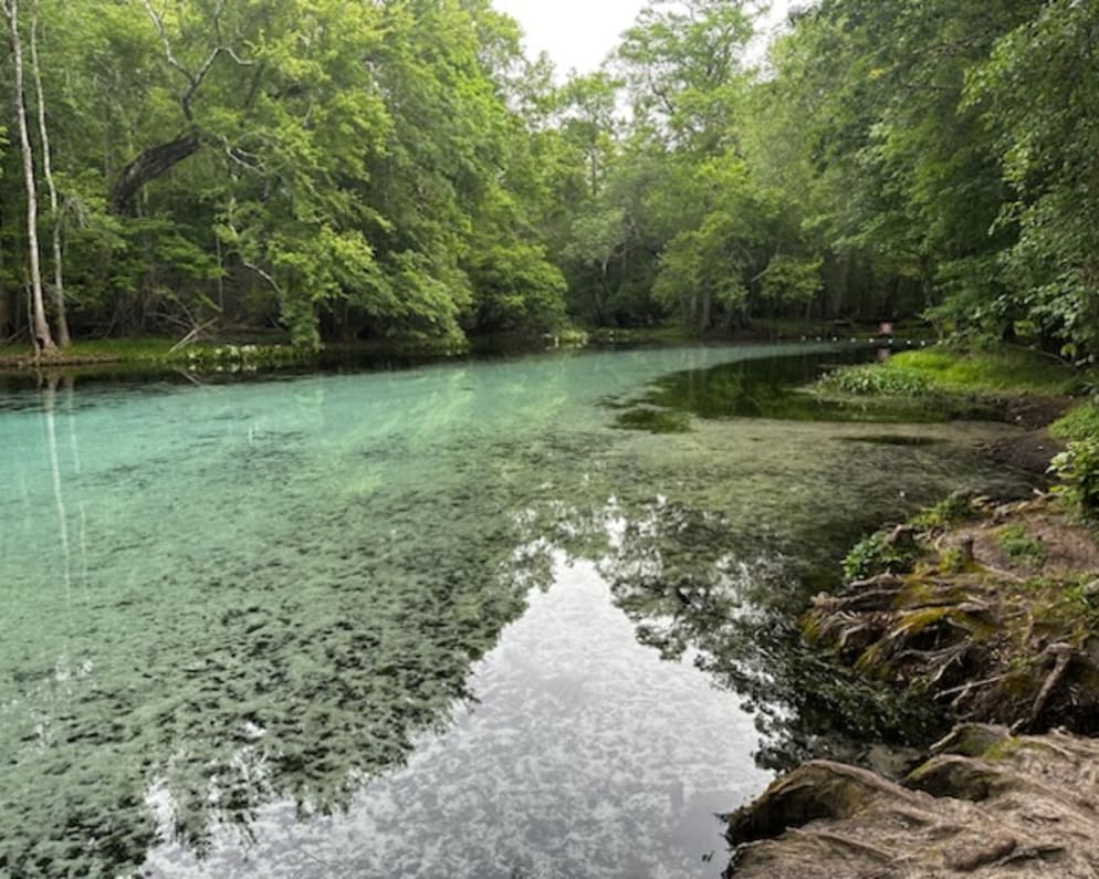 2022 Travel Trailer RV for Rent in Newberry, Florida