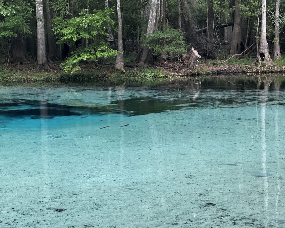 2022 Travel Trailer RV for Rent in Newberry, Florida