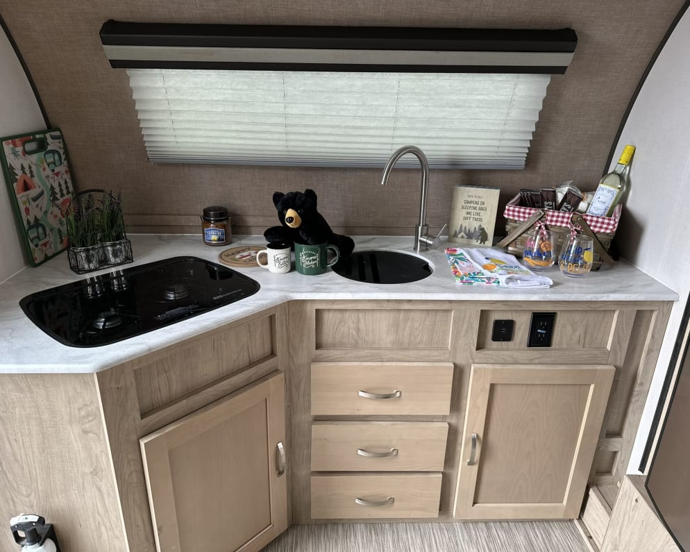 2019 Forest River R-Pod available for rent in Aurora Colorado