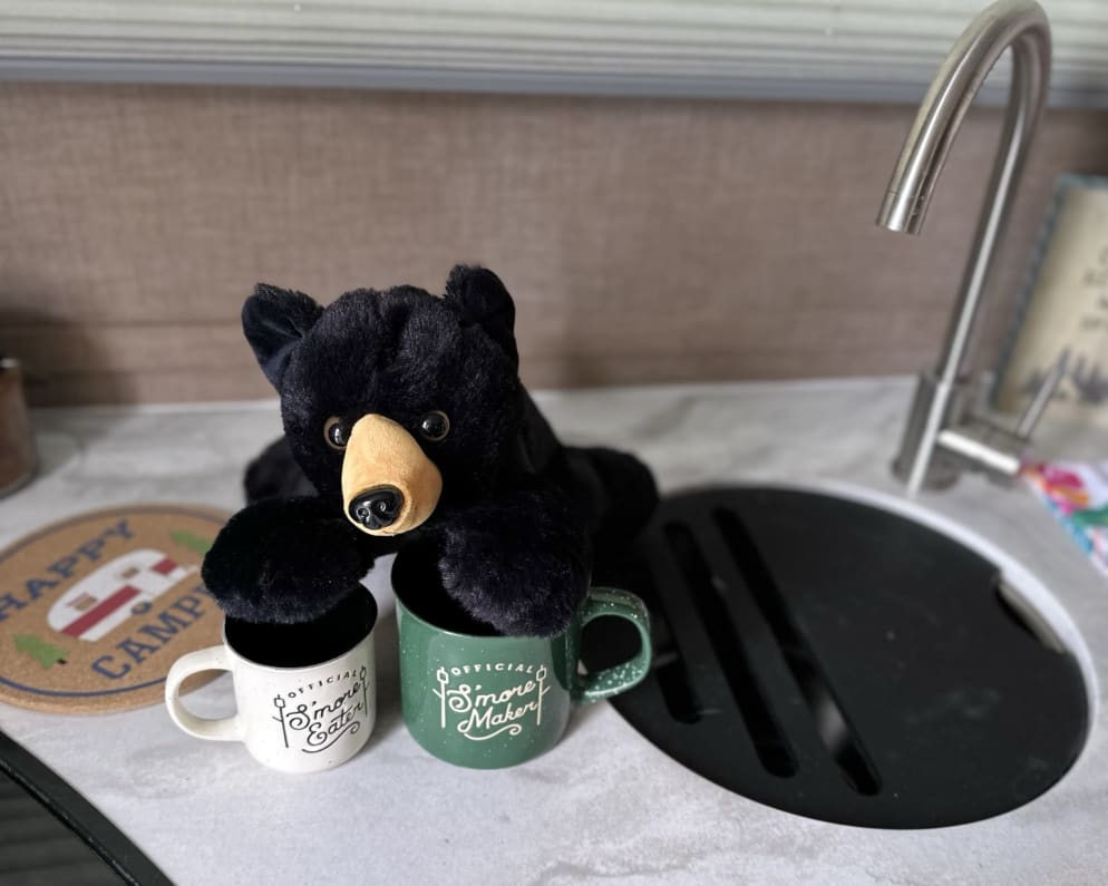 2019 R-Pod  by Forest River for rent in 80019