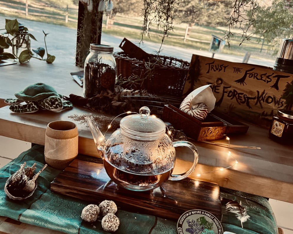 2016 E-450  by Ford for rent in 32640