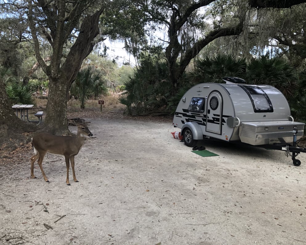 2019 Travel Trailer RV for Rent in Rutherfordton, NC