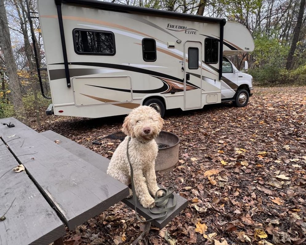 This is our puppy, Ferris. The RV is &quot;Ferris approved!&quot;