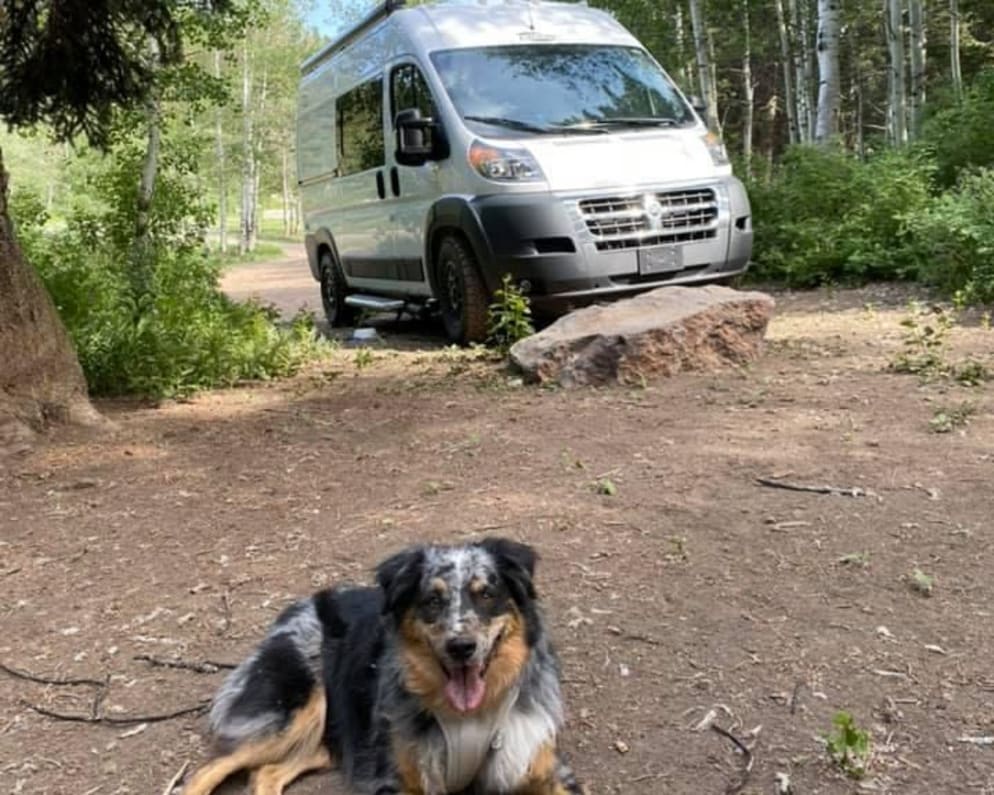 2017 Carado Carado Class B Class B for rent in Denver Colorado