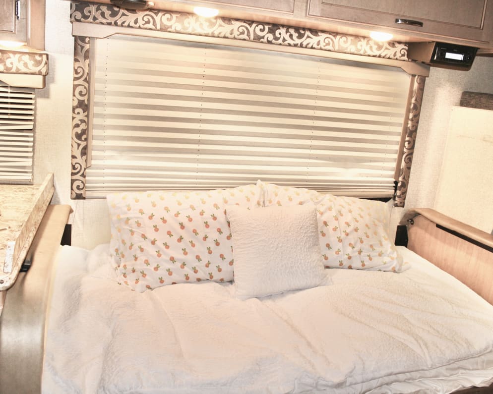 2020 Thor Four Winds Class C for rent in Buttonwillow California