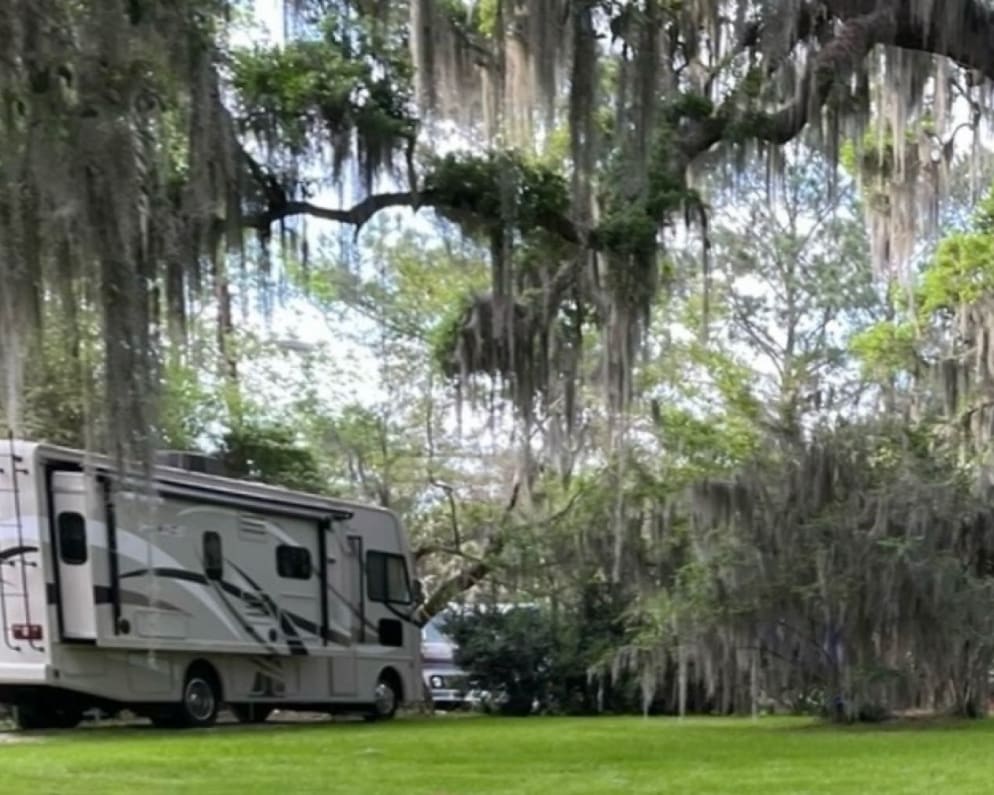 RV site under a gorgeous Oak tree canopy 