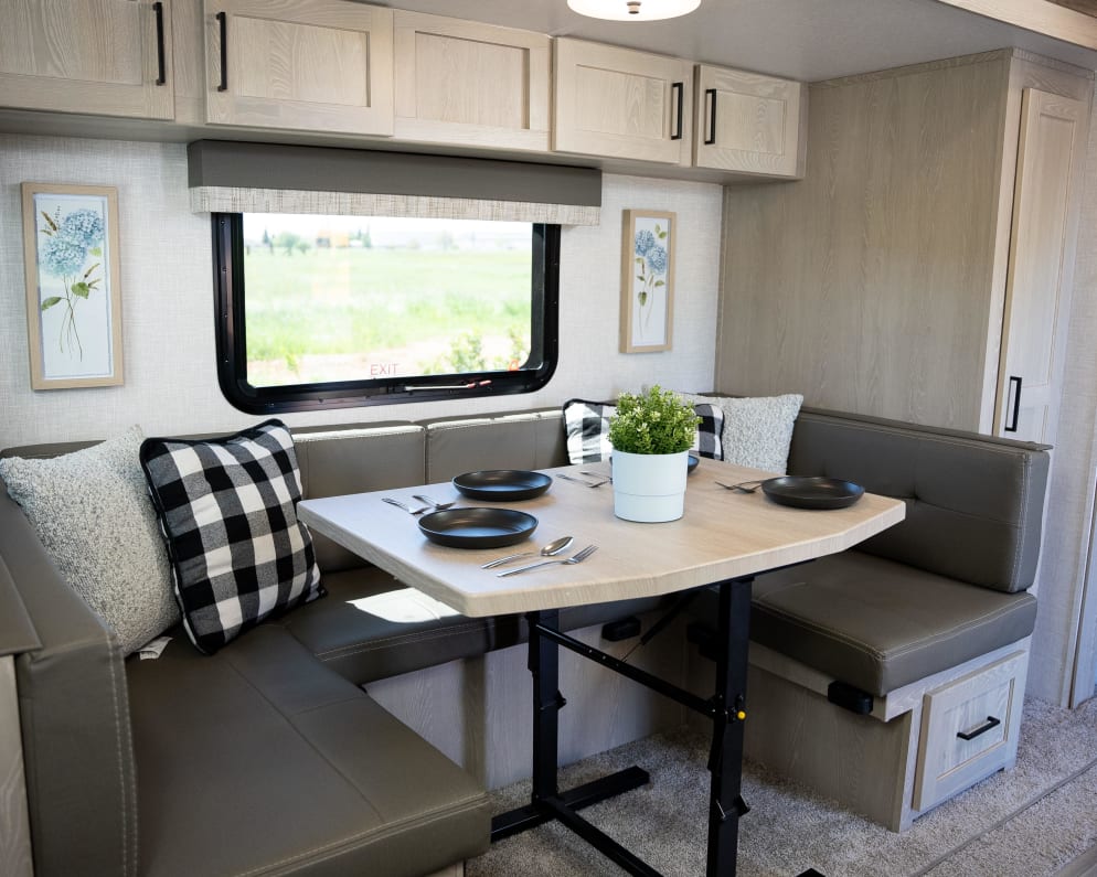 2022 Flagstaff Micro Lite  by Forest River for rent in 95624