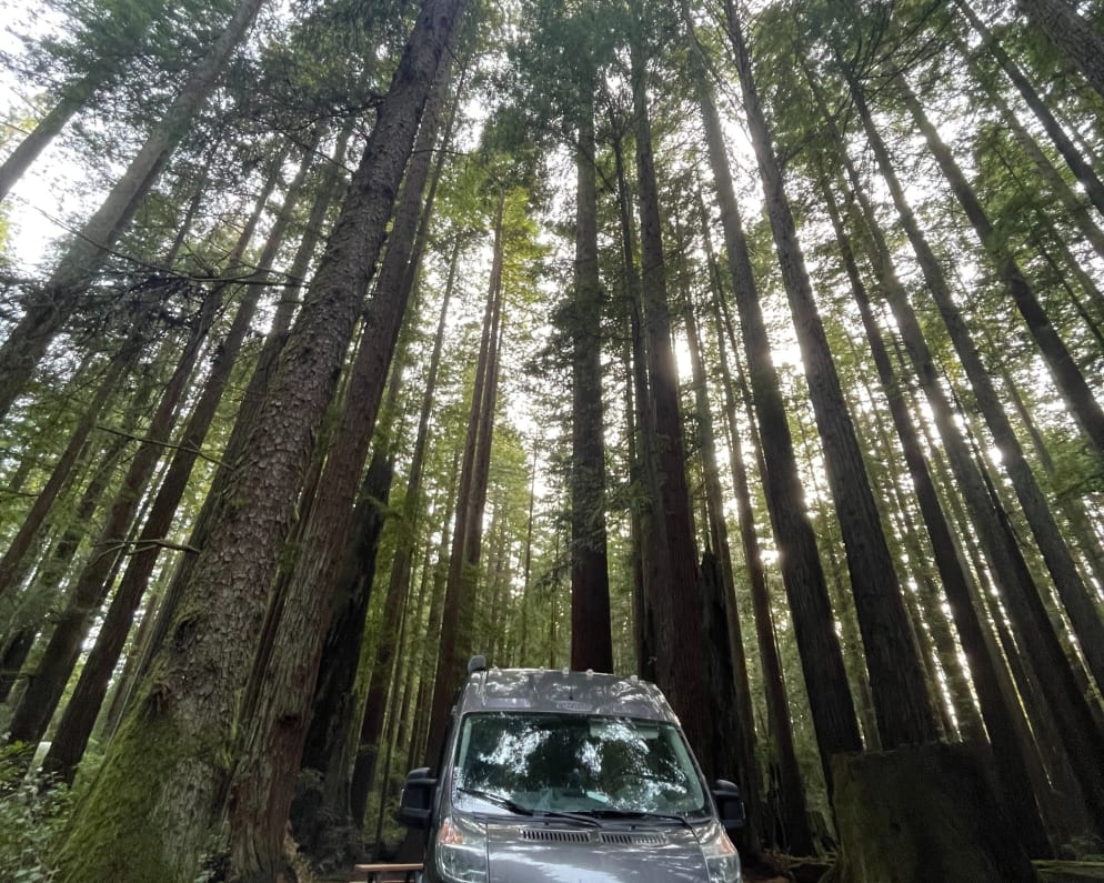 2019 Carado Banff available for rent in Altadena California