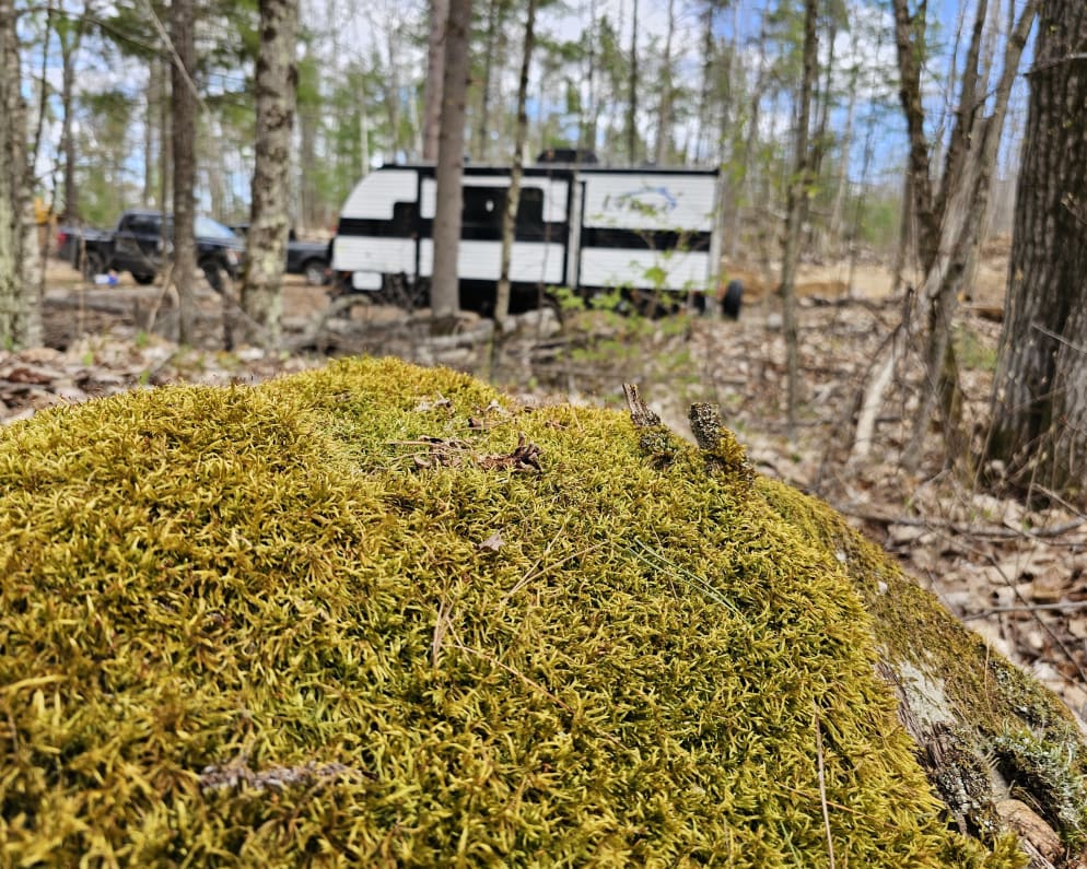 2022 Heartland RVs Prowler Lynx