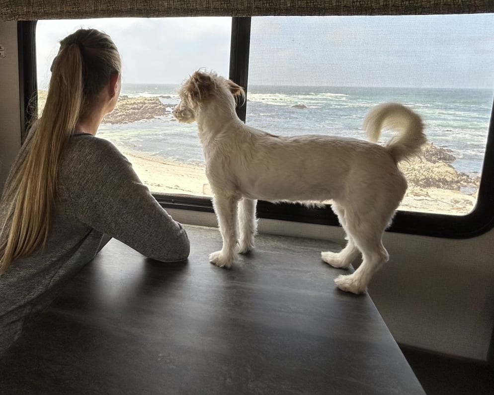 2021 Forester  by Forest River for rent in 93908