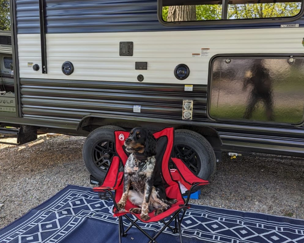 2024 Cherokee Grey Wolf 23DBH  by Forest River for rent in 55302
