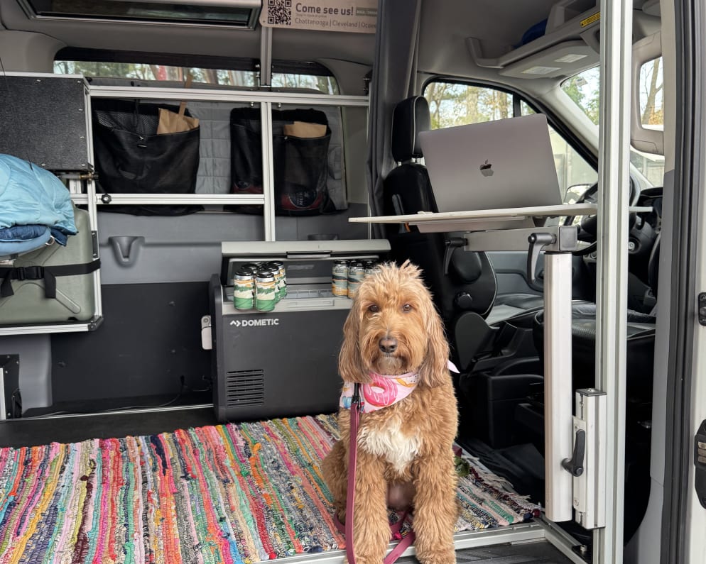 2017 Ford Transit available for rent in Sandy Springs Georgia