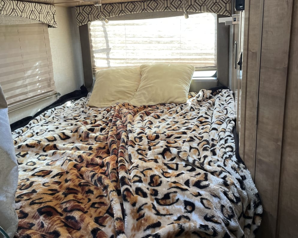 2021 Coachmen Leprechaun Class C for rent in Downey California