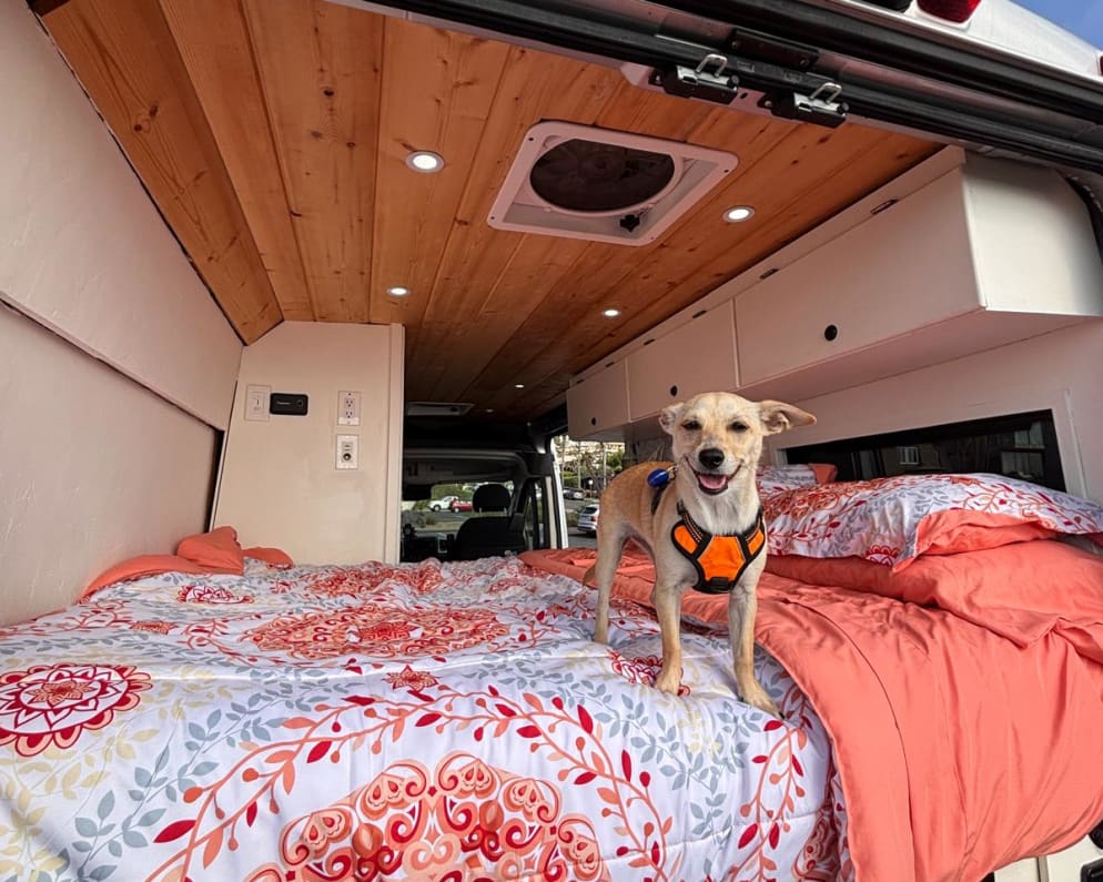 2021 Dodge Ram ProMaster