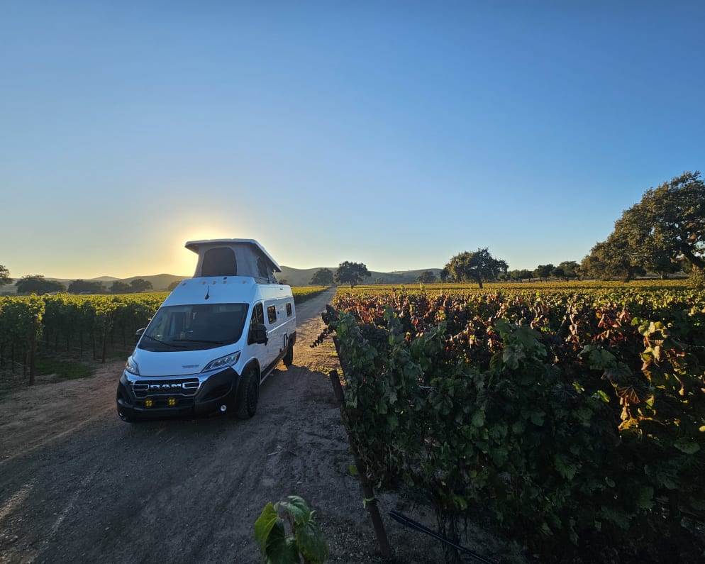 2025 Winnebago Solis 59PX available for rent in Tustin California