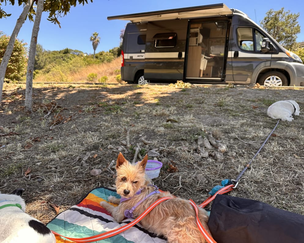 2019 Hymer Hymer Class B Class B for rent in San Diego California
