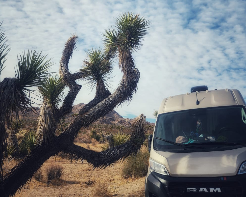 2024 Dave & Matt Vans Dave & Matt Vans Class B Class B for rent in COLORADO SPRINGS Colorado