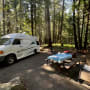 Leisure Travel Van- Stella
