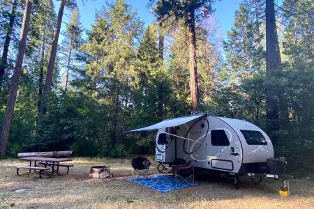 “Pork Chop II” Kid & Pet Friendly, SUV Towable, 2021 Forest River R-Pod