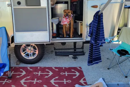2020 Airstream Bambi DOG FRIENDLY Barbies dream camper free SPACEX internet