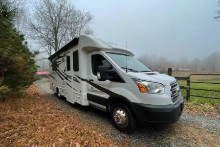 Stella - (ATLANTA, GA - FREE DELIVERY)
