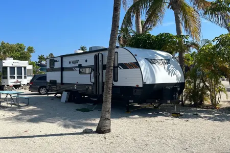2020 Forest River Wildwood X-Lite AKA Trixie the Travel Trailer.