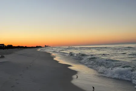 Beach Fun
