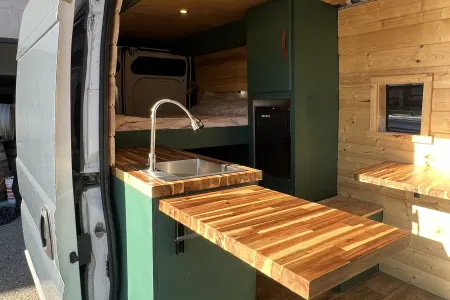 Margot the 2018 RAM ProMaster
