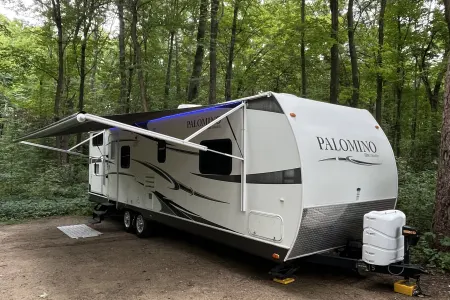 The Wisconsin Palomino