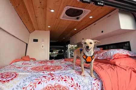 Hot Outdoor Shower · Pet Friendly · Premium Mattress · Flexible Pickup