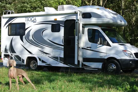 Pet Friendly Tioga Ranger