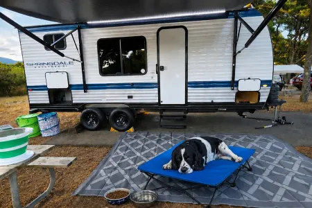 2025 Keystone Springdale 20BHWE + Dog Friendly + Bunks + Loaded