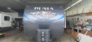 Palomino Puma 2020