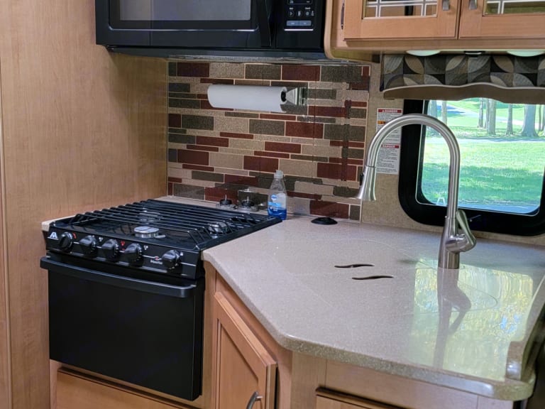 2016 Thor Chateau Class C Rental in MO Outdoorsy