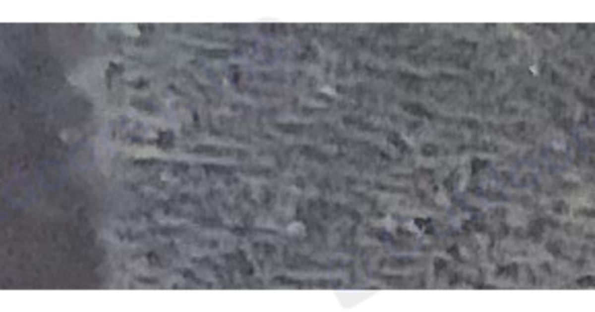 2016 Heartland M32 Travel trailer Rental in Loris, SC Outdoorsy