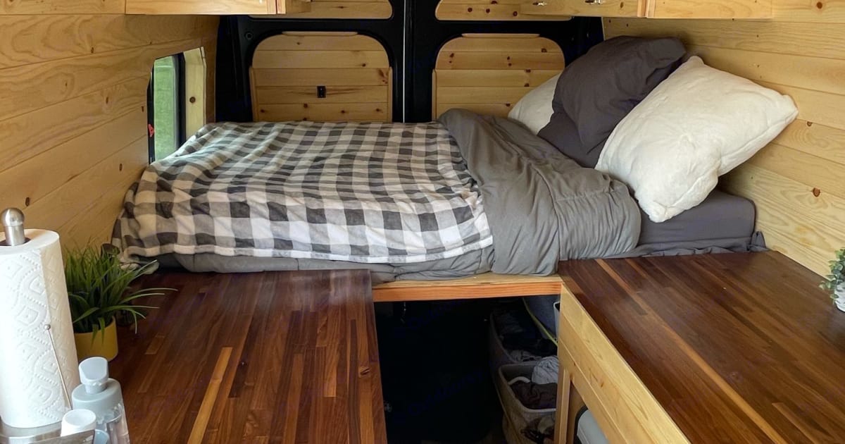 2020 Dodge Pro Master 2500 Camper van Rental in Cortland, NY Outdoorsy