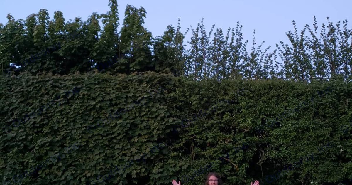 1998 Jayco Travel Trailer Travel trailer Rental in Maysville, KY