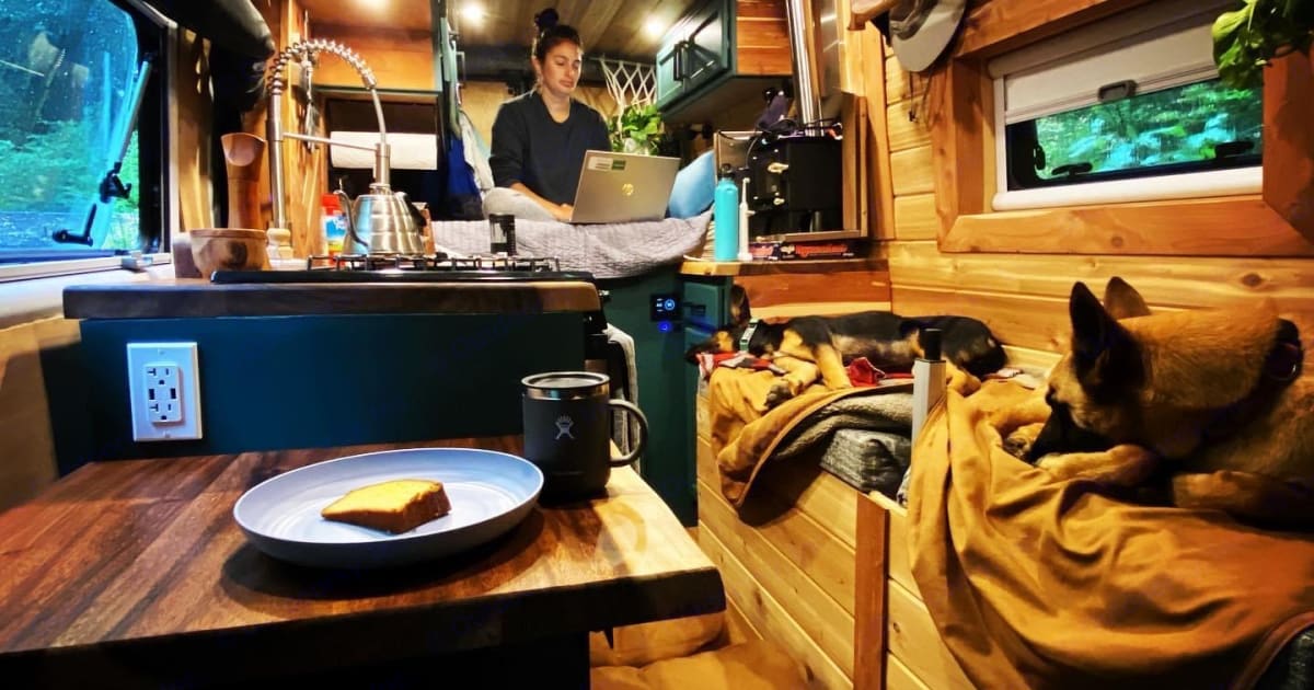 2021 Ford Transit Camper Van Rental in Kodiak, AK Outdoorsy