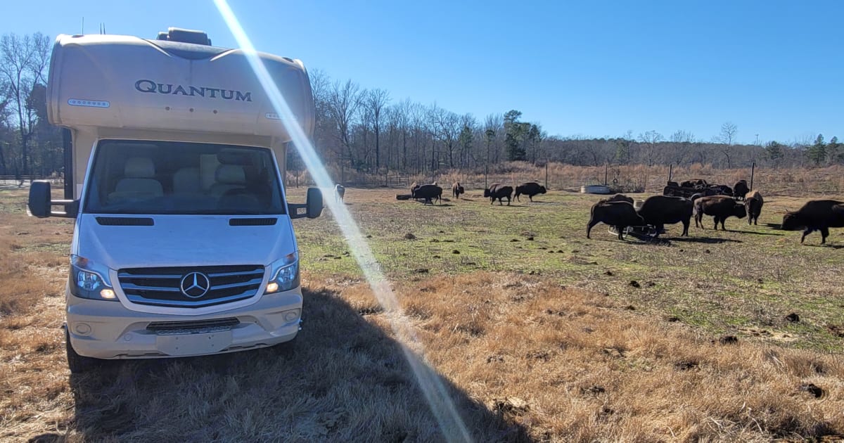 2019 Thor Quantum Class C Rental in Buckhead, GA Outdoorsy