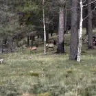 Commenter la photo 3