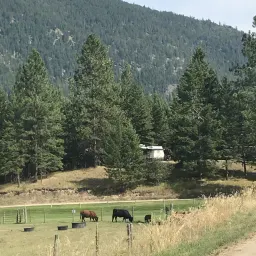 Recensisci la foto 1