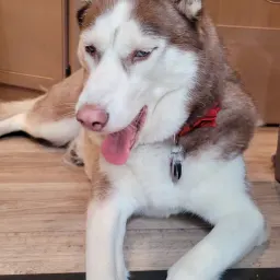 Foto de la valoración 8